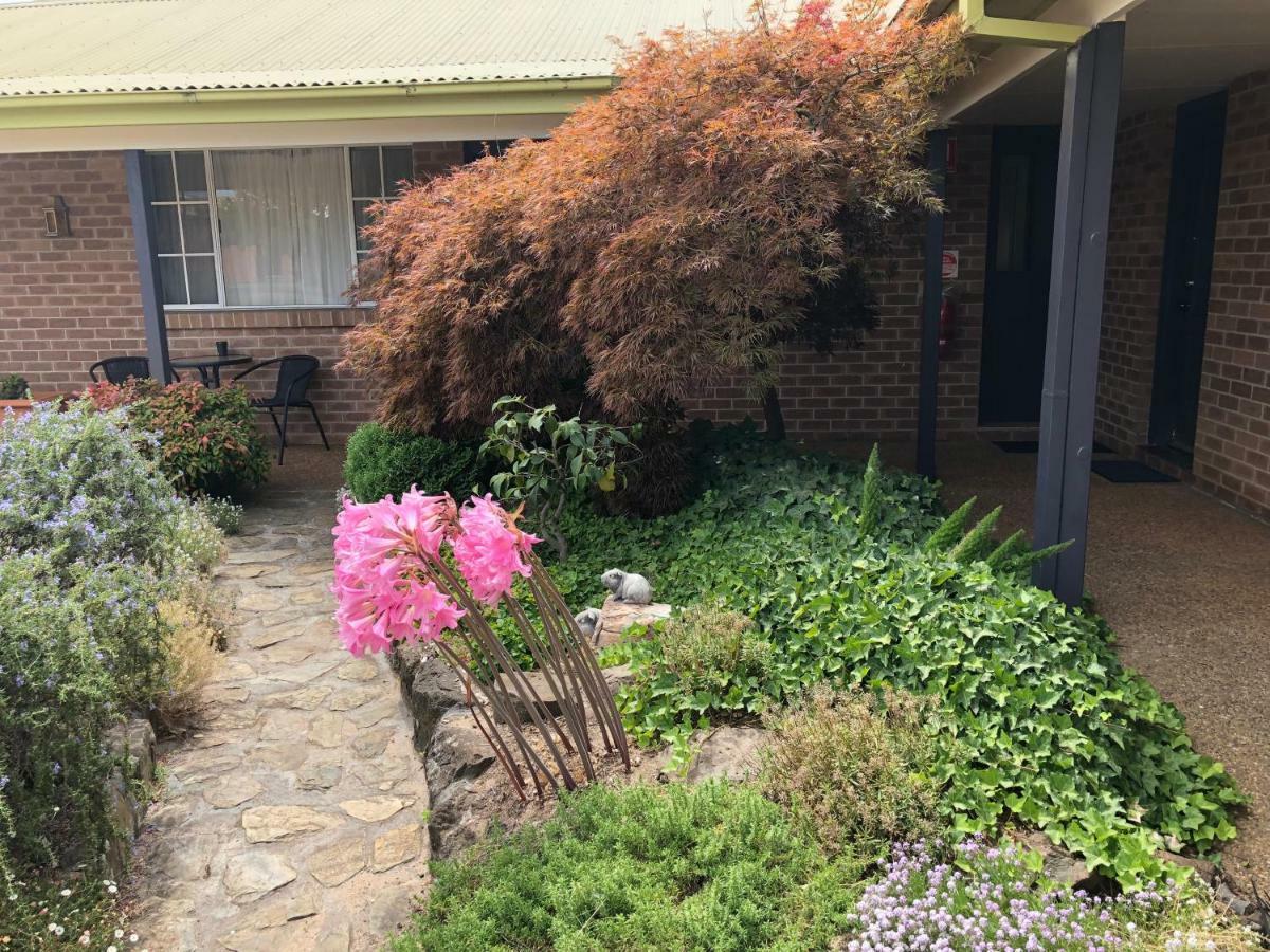 Highlands Motor Inn Oberon Exterior foto